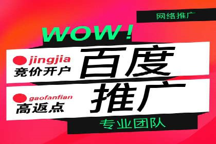 SEM代运营机构成功案例：精准定位客户群体